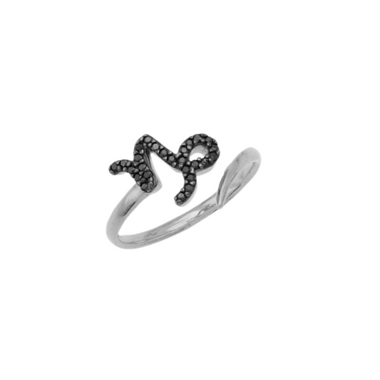 Capricorn Zodiac Sign Ring
